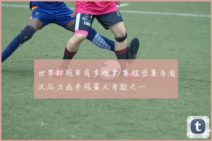 世界杯冠军有多难拿 赛程密集与淘汰压力成夺冠最大考验之一
