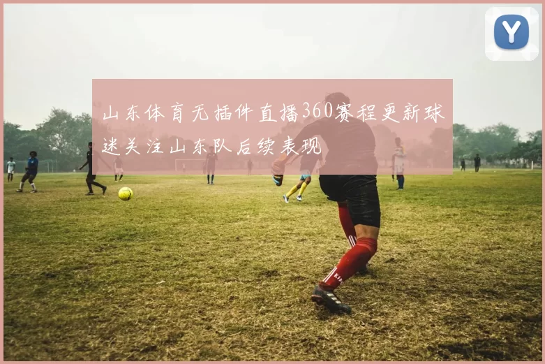 山东体育无插件直播360赛程更新球迷关注山东队后续表现