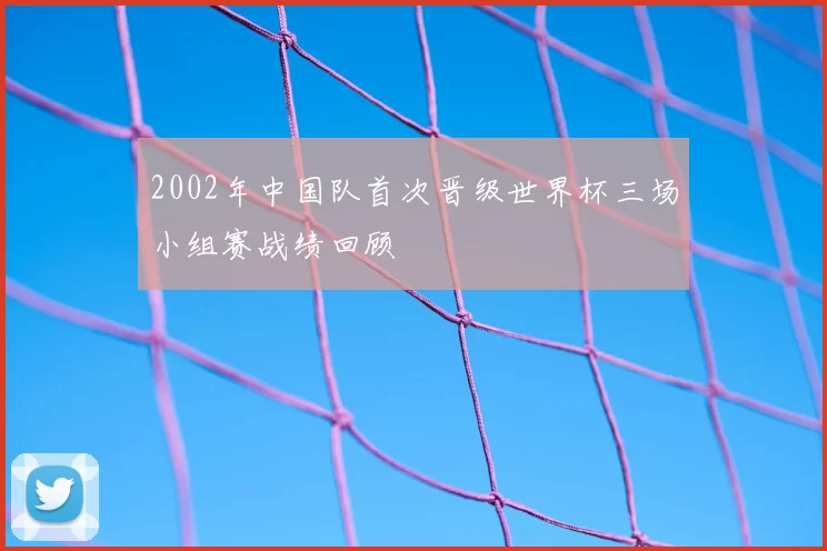 2002年中国队首次晋级世界杯三场小组赛战绩回顾