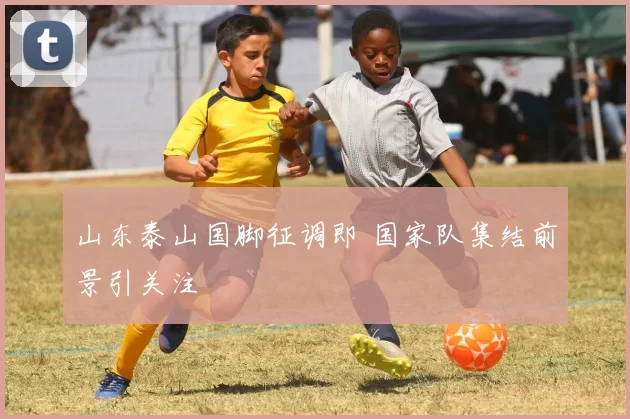 山东泰山国脚征调即 国家队集结前景引关注