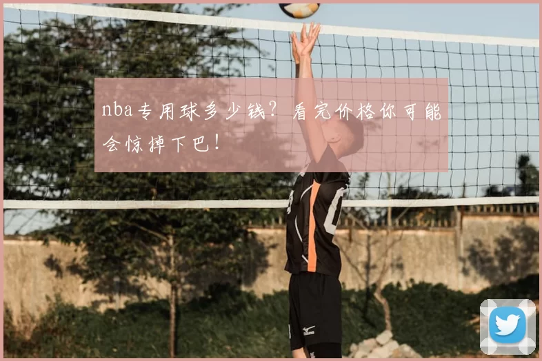 nba专用球多少钱？看完价格你可能会惊掉下巴！