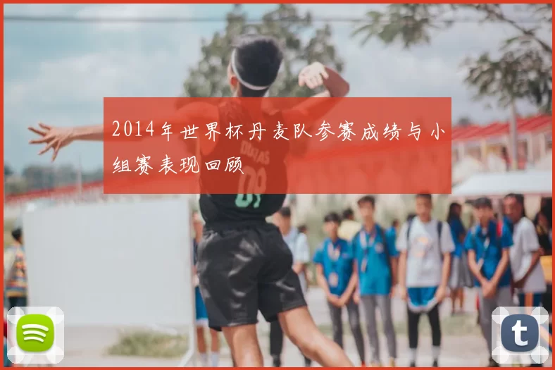 2014年世界杯丹麦队参赛成绩与小组赛表现回顾