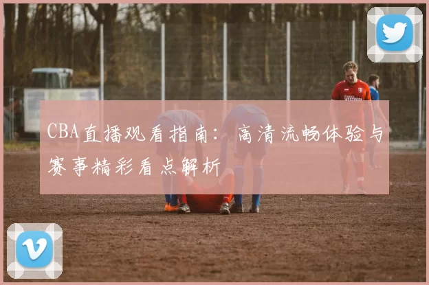 CBA直播观看指南:高清流畅体验与赛事精彩看点解析