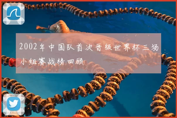 2002年中国队首次晋级世界杯三场小组赛战绩回顾