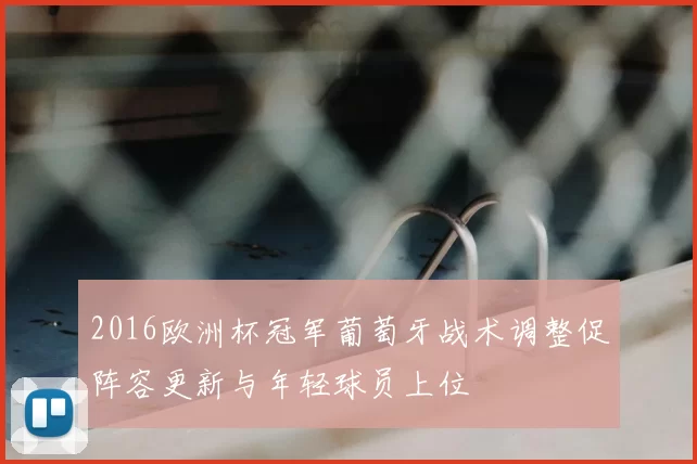 2016欧洲杯冠军葡萄牙战术调整促阵容更新与年轻球员上位
