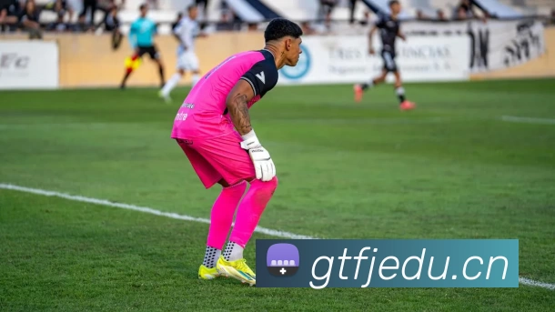 App Interface Preview